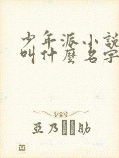少年派小说原著叫什么名字