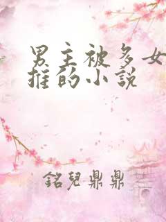 男主被多女主逆推的小说