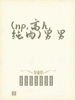 (np,高h,纯肉)男男