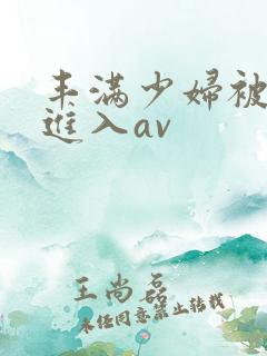 丰满少妇被猛烈进入av