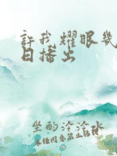 许我耀眼几月几日播出