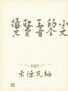 摄政王的小闲妻免费看全文