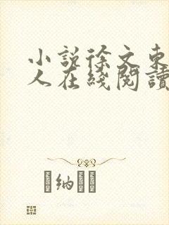 小说徐文东林依人在线阅读全文