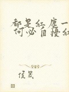 都是红尘一过客 何必自扰红尘劫是什么意思