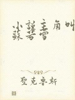 小说主角叫沈浪苏若雪