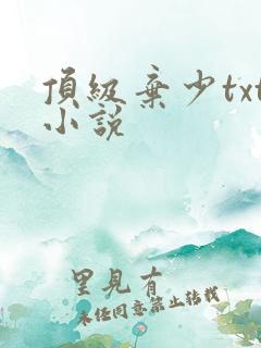 顶级弃少txt小说