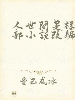 人世间是根据哪部小说改编的