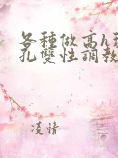 各种做高h玩尿孔双性调教