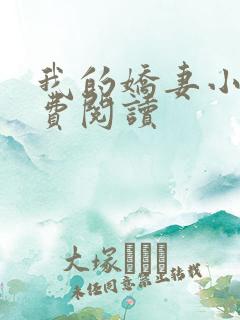 我的娇妻小说免费阅读