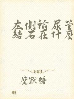 左侧输尿管内段结石在什么位置