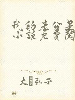 我的老公是酷哥小说免费阅读