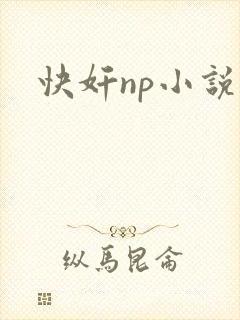 快奸np小说