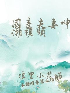 国产夫妻呻吟高潮视频