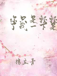 你只是轻轻的爱了我一下是什么歌