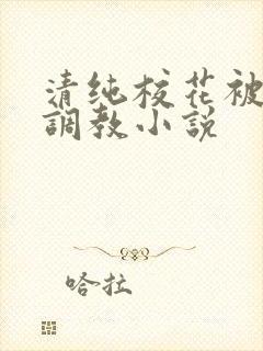 清纯校花被地狱调教小说