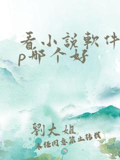 看小说软件app哪个好