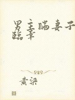 男主瞒妻子出轨临幸