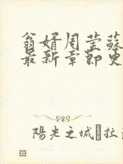 翁婿周莹苏婉的最新章节更新