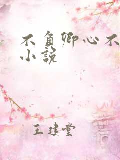 不负卿心不负君小说