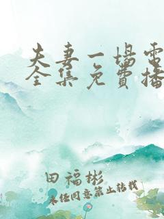 夫妻一场电视剧全集免费播放