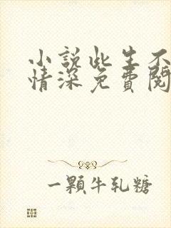 小说此生不负你情深免费阅读全集