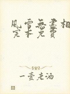 风雪无尽相思情完本免费