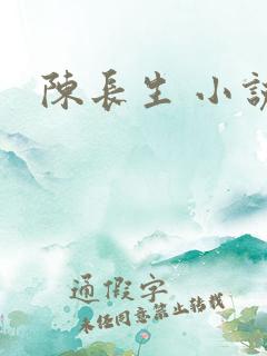 陈长生 小说