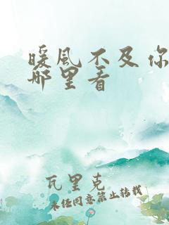 暖风不及你情深哪里看