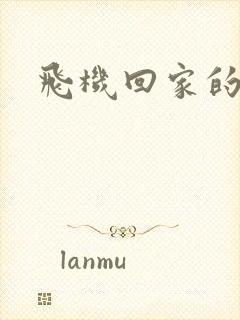 飞机回家的文案