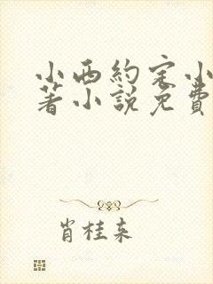 小西约定小说原著小说免费阅读