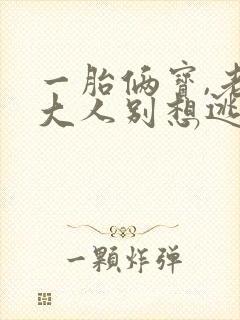 一胎俩宝,老婆大人别想逃小说txt