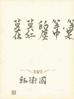 莫莫的等,等你在红尘中是什么歌名