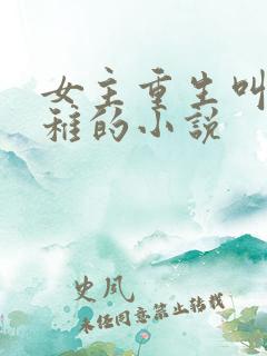 女主重生叫沈青稚的小说