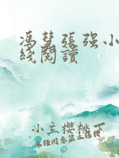 冯慧张强小说在线阅读