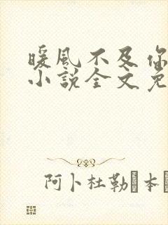 暖风不及你情深小说全文免费阅读