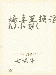 娇妻互换淫欢(h)小说(