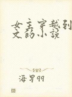 女主穿越到年代文的小说