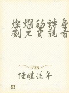 灿烂的转身电视剧免费观看完整版高清