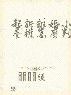 起诉离婚小孩抚养权怎么判