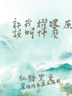 许我耀眼原著小说叫什么