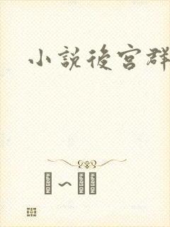 小说后宫群芳谱