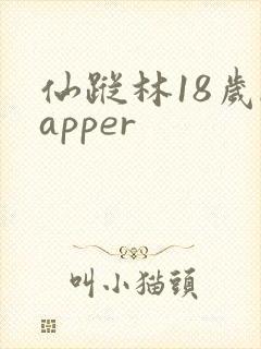 仙踪林18岁rapper