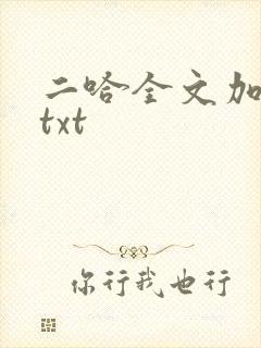 二哈全文加番外txt