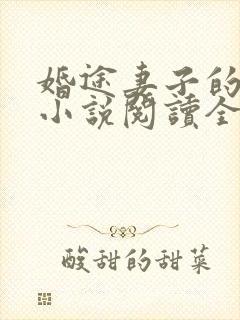 婚途妻子的秘密小说阅读全文