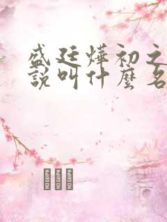 盛廷烨初之心小说叫什么名字