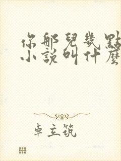 你那儿几点原著小说叫什么