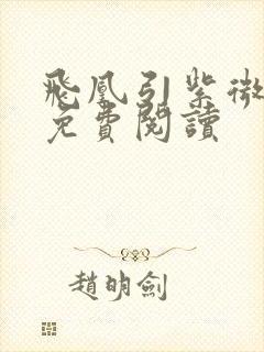 飞凰引紫微流年免费阅读