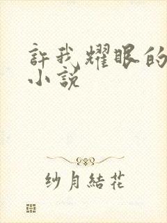 许我耀眼的原著小说
