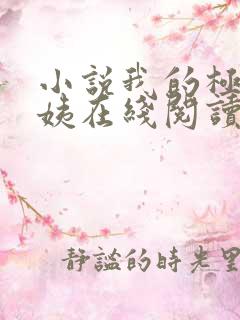 小说我的极品小姨在线阅读