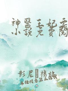 神医王妃要休夫小说免费阅读全文